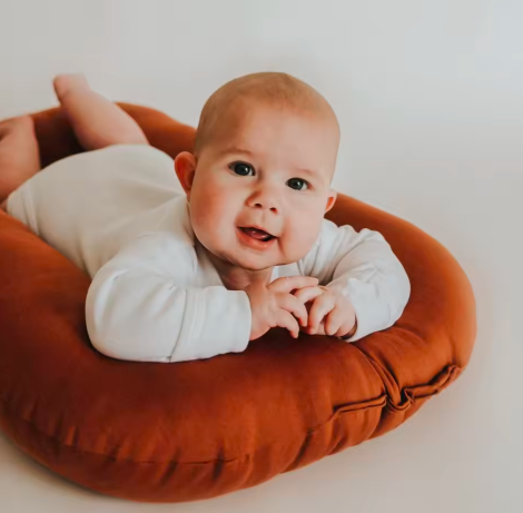 DreamNest Baby Lounger